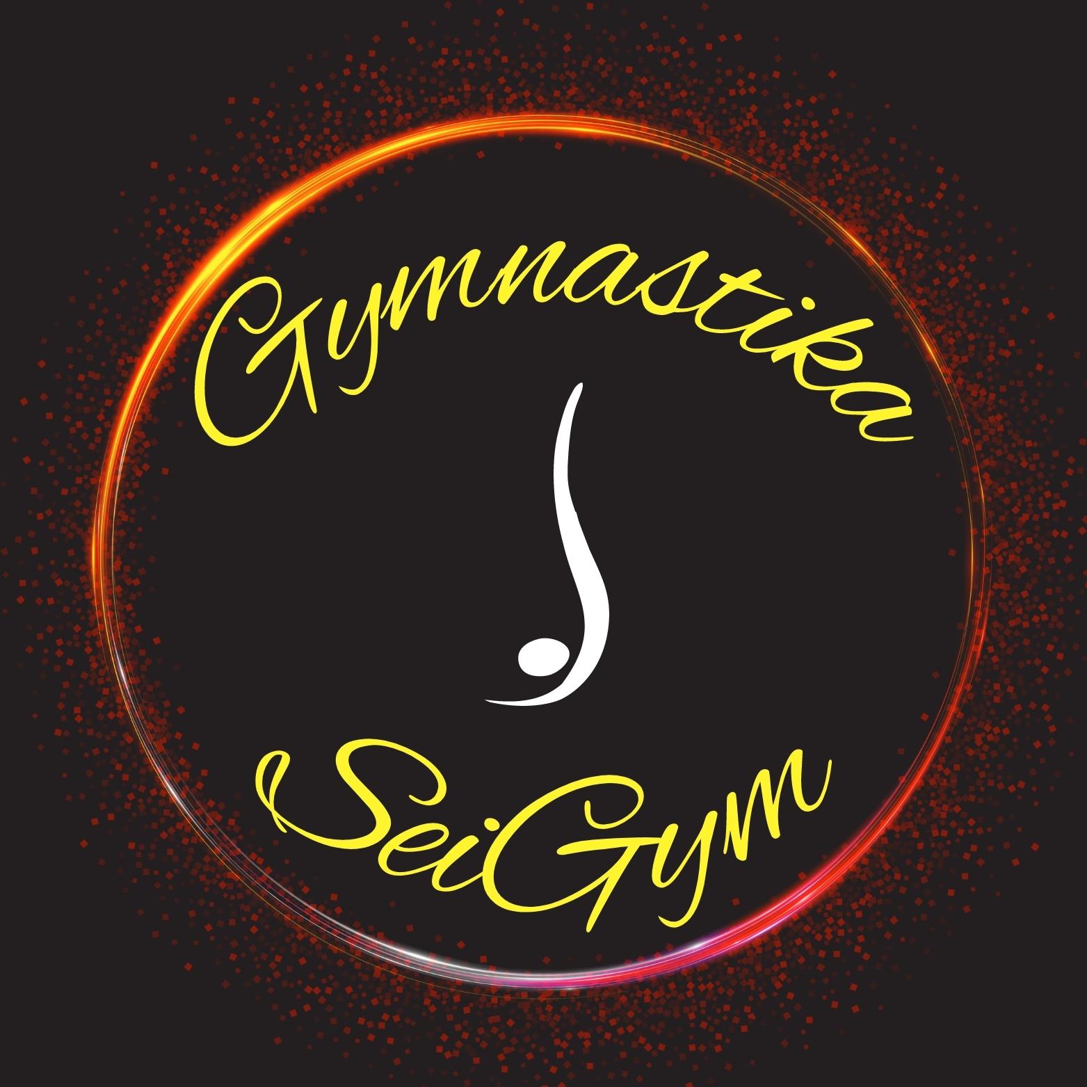 Gymnastika SeiGym